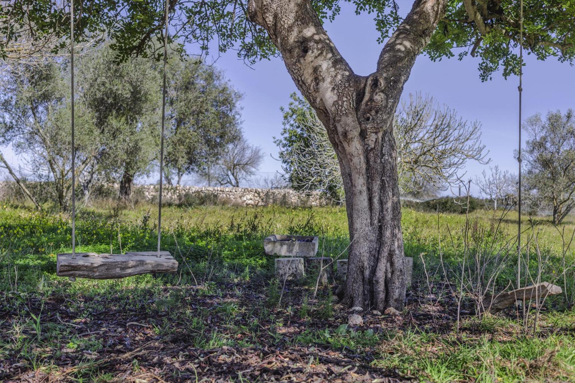 Finca Sa Torreta Санта Маргалида Екстериор снимка